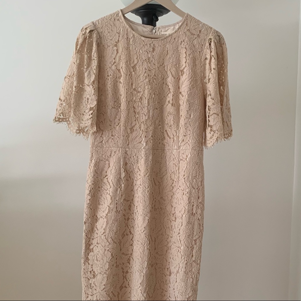 Cream lace Rachel Parcell dress